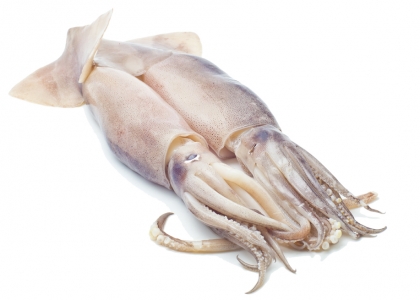 Calamares
