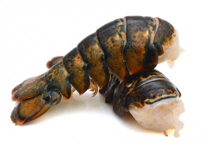 Langosta