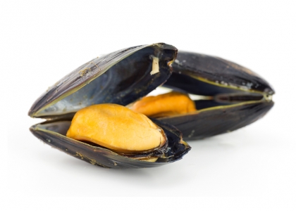 Mejillones